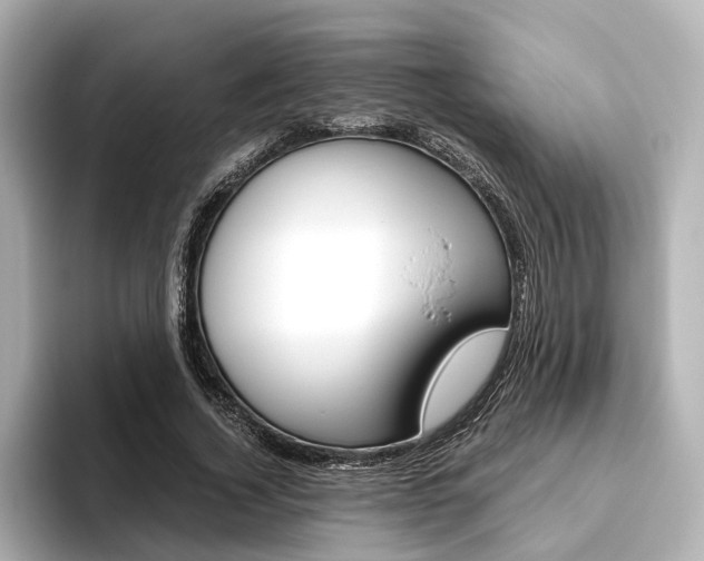 X0000093610732200710151015