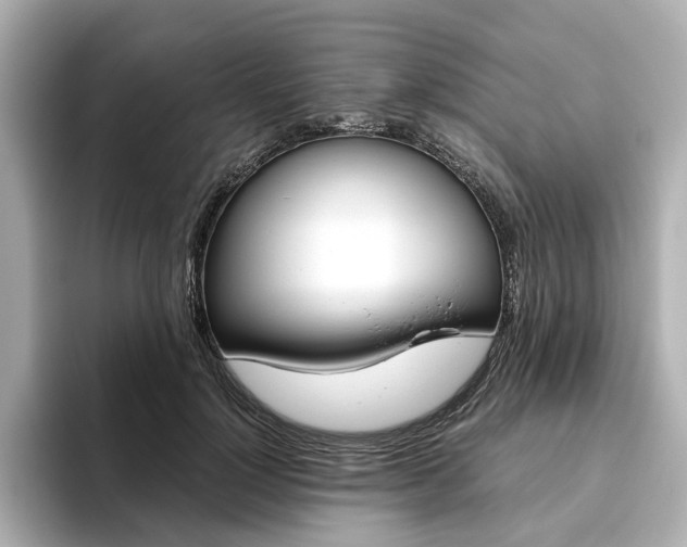 X0000093610748200710151016