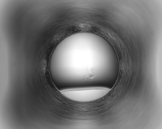 X0000093610752200710151016