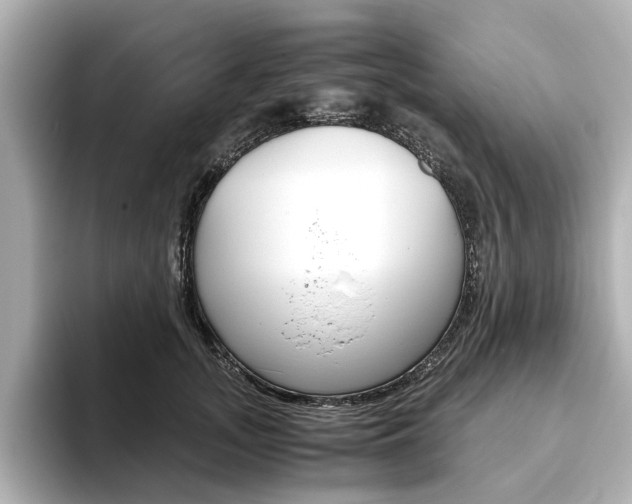 X0000093610755200710151016