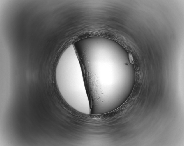 X0000093610756200710151016
