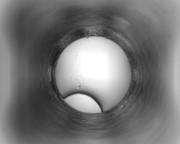 X0000093610757200710151016