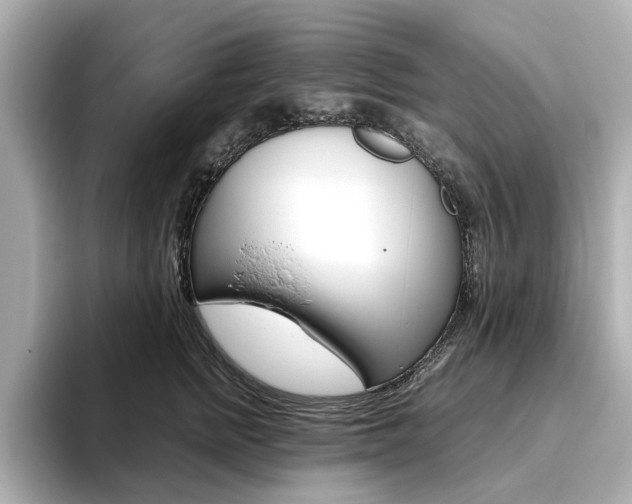 X0000093610758200710151016