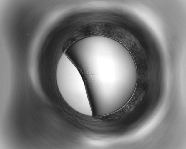 X0000093610766200710151016