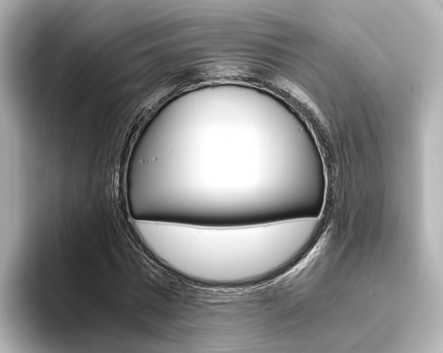 X0000093610777200710151015