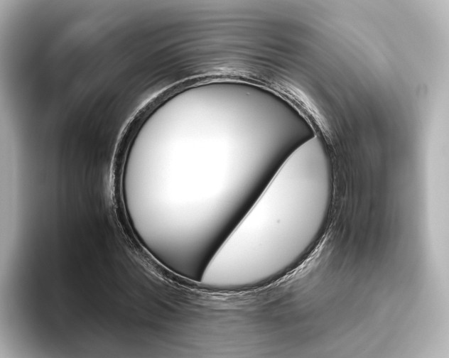 X0000093610780200710151015
