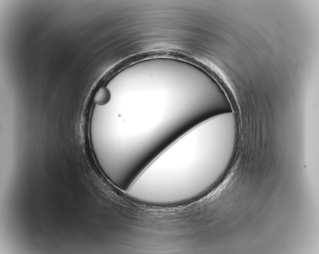 X0000093610783200710151015