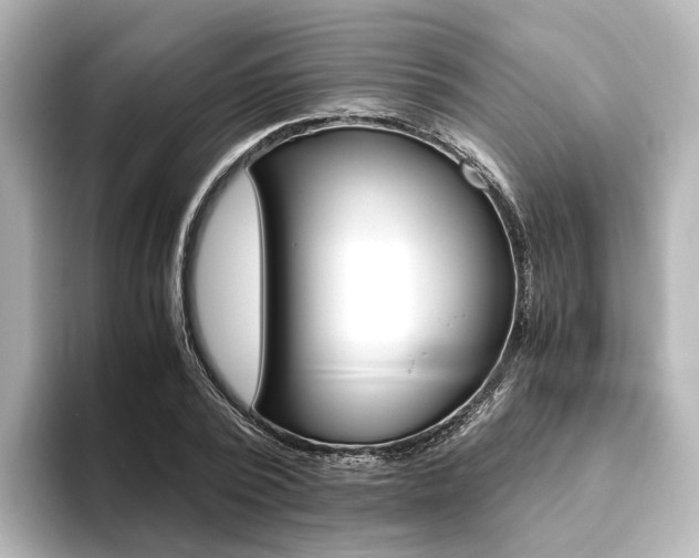 X0000093610784200710151015