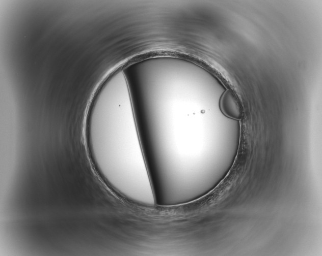 X0000093610791200710151015