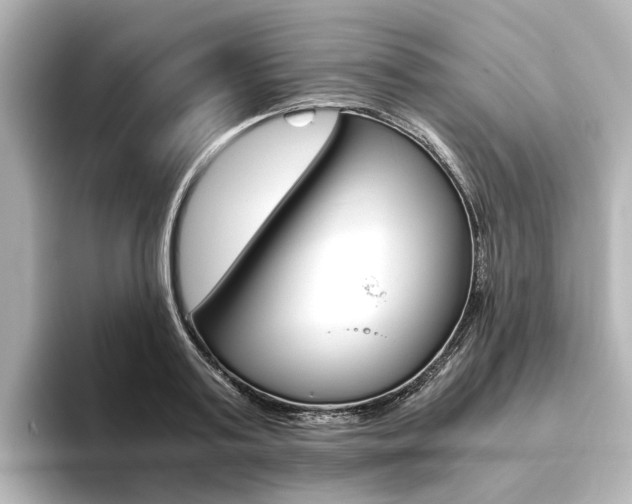 X0000093610795200710151015