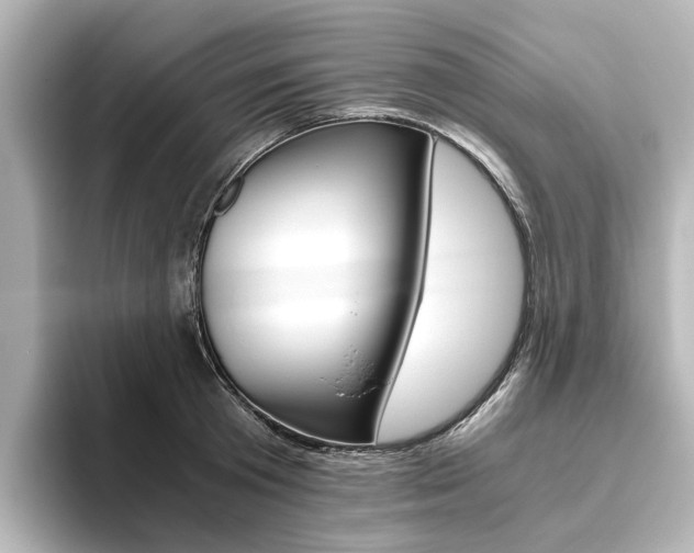 X0000093610801200710151015