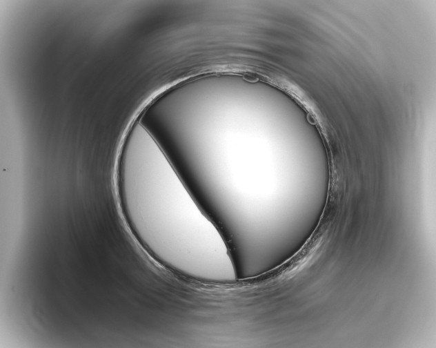 X0000093610803200710151015