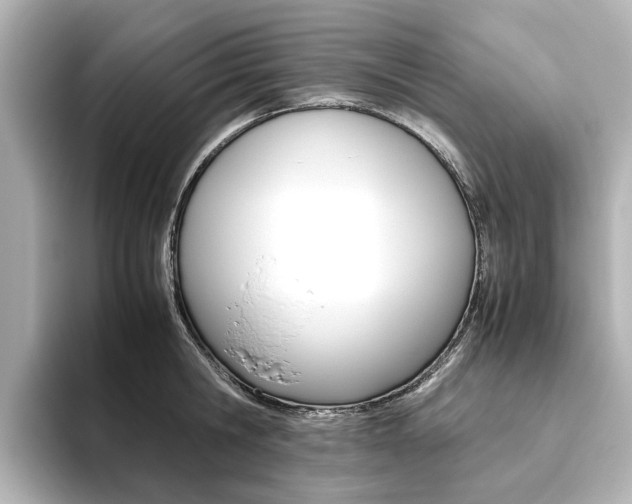 X0000093610806200710151015