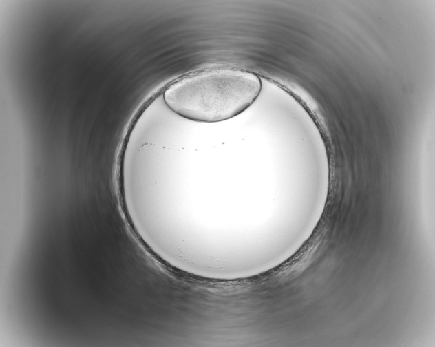 X0000093610807200710151015