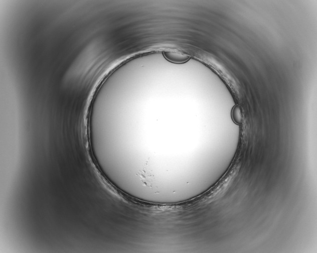X0000093610808200710151015