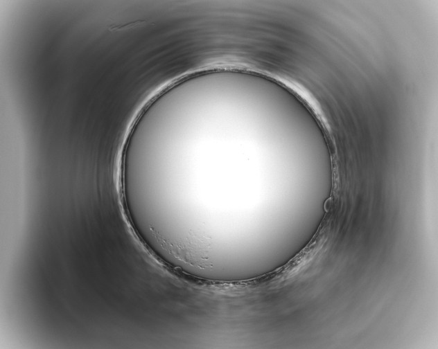 X0000093610815200710151015