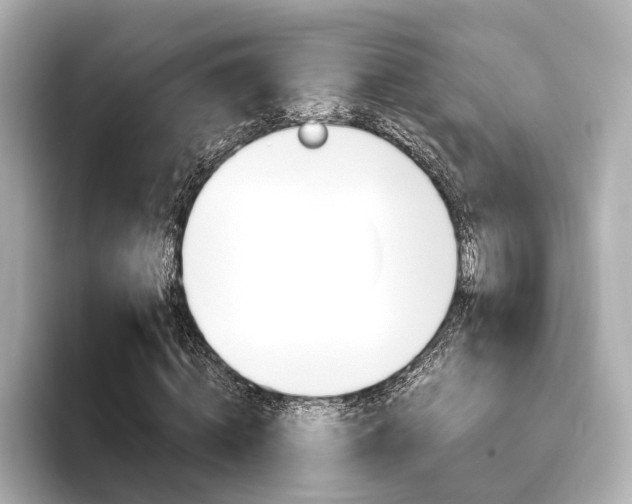 X0000093610820200710151014