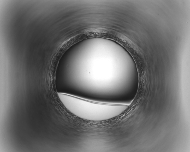 X0000093610822200710151014