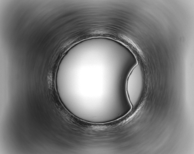 X0000093610825200710151014