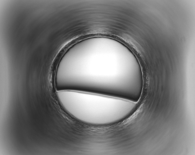 X0000093610830200710151014