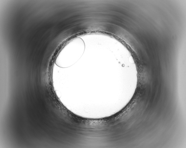 X0000093610832200710151014