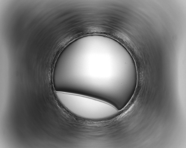 X0000093610833200710151014