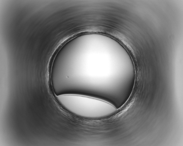 X0000093610837200710151014