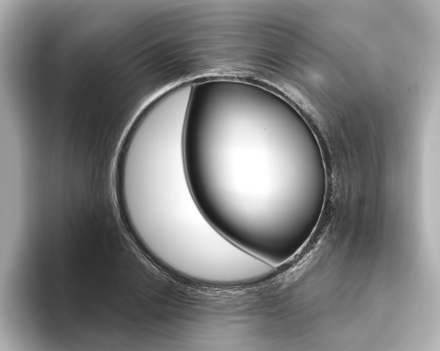 X0000093610838200710151014