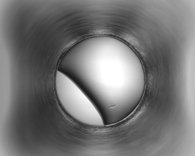 X0000093610841200710151014