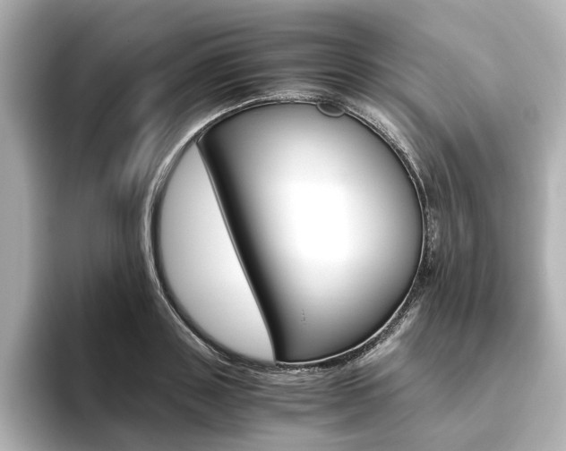 X0000093610843200710151014