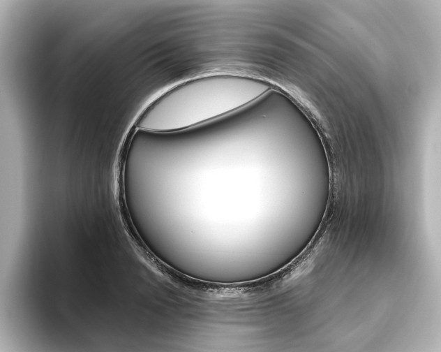 X0000093610846200710151014