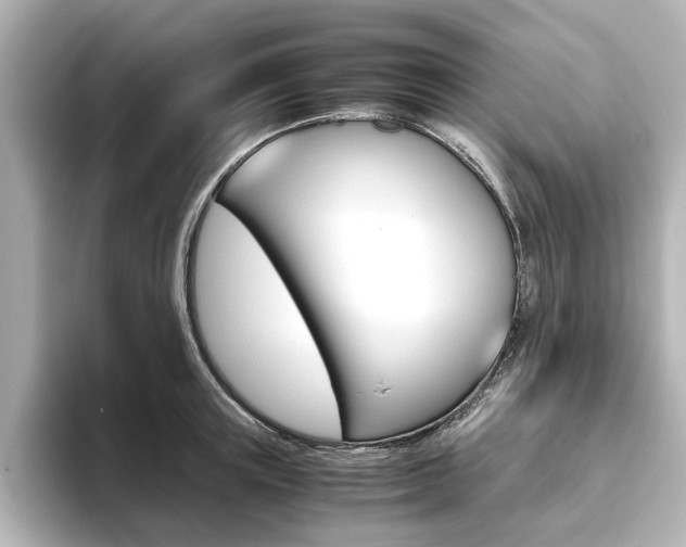 X0000093610851200710151014