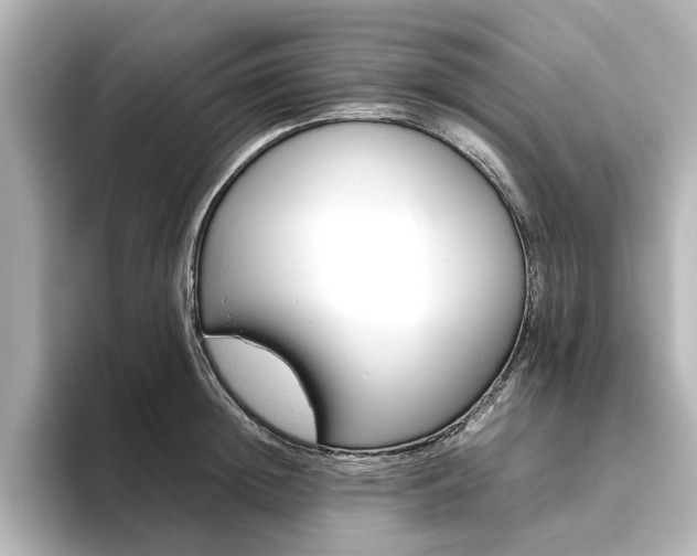 X0000093610852200710151014