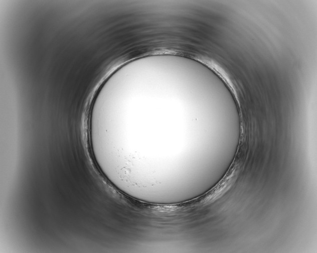 X0000093610859200710151015