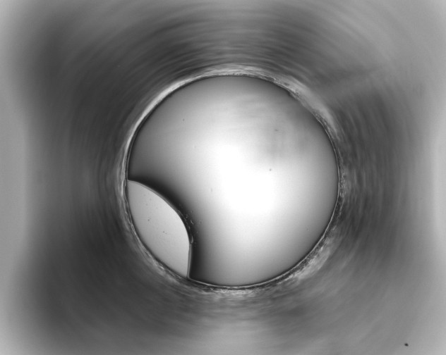 X0000093610860200710151015