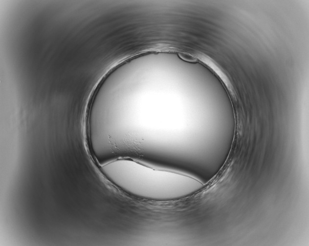 X0000093610861200710151015