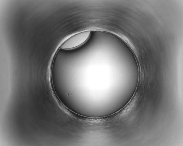 X0000093610862200710151015