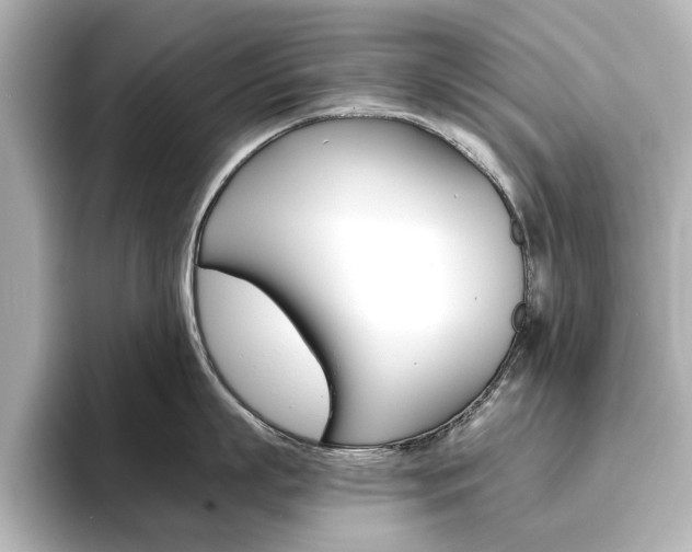 X0000093610863200710151015