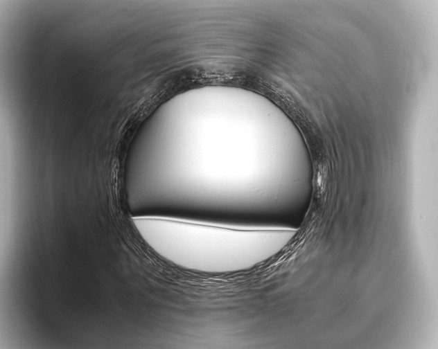 X0000093610867200710151014