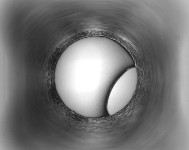 X0000093610870200710151014