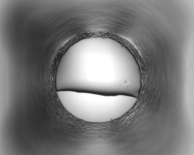 X0000093610871200710151014