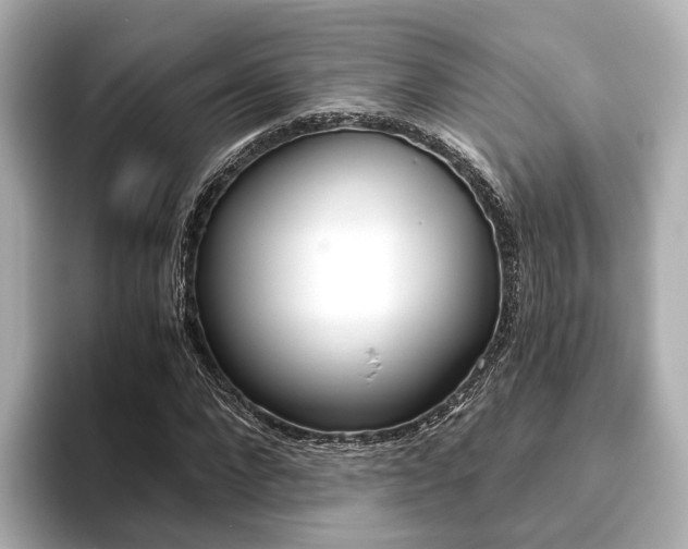 X0000093610872200710151014