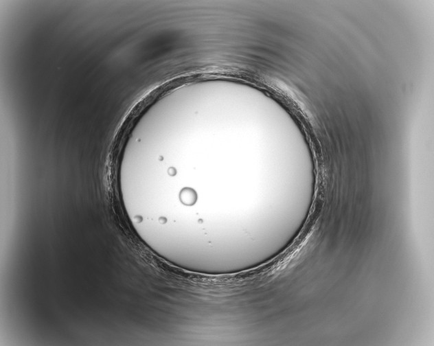 X0000093610875200710151014