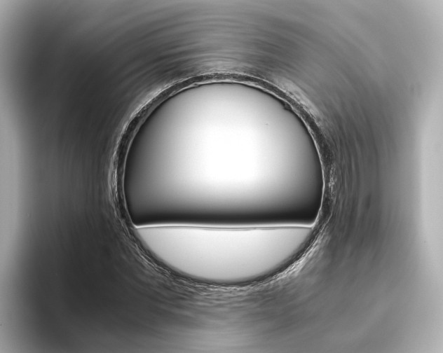 X0000093610877200710151014