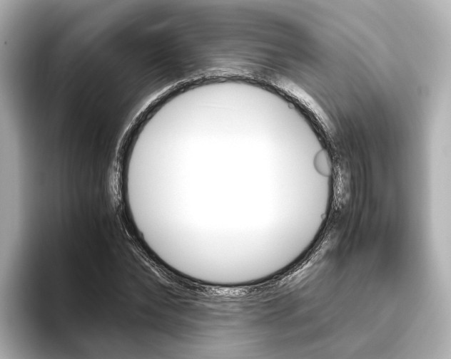 X0000093610878200710151014