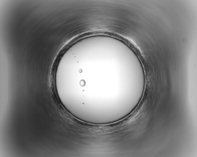 X0000093610879200710151014