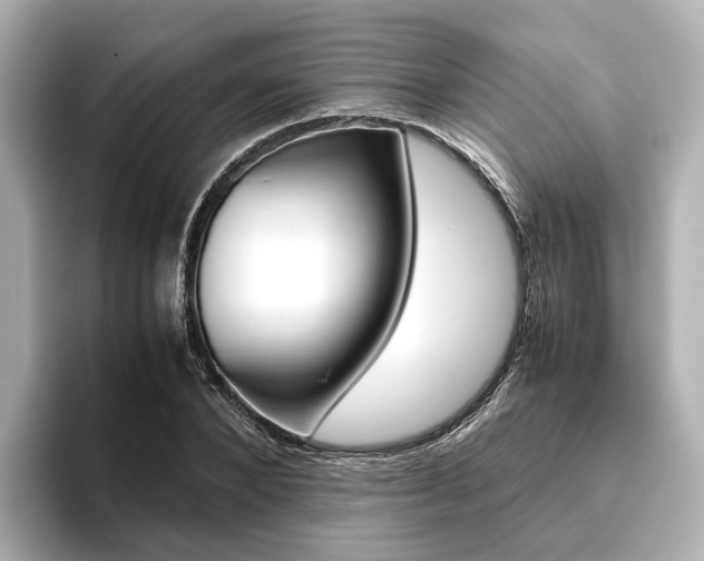 X0000093610880200710151014