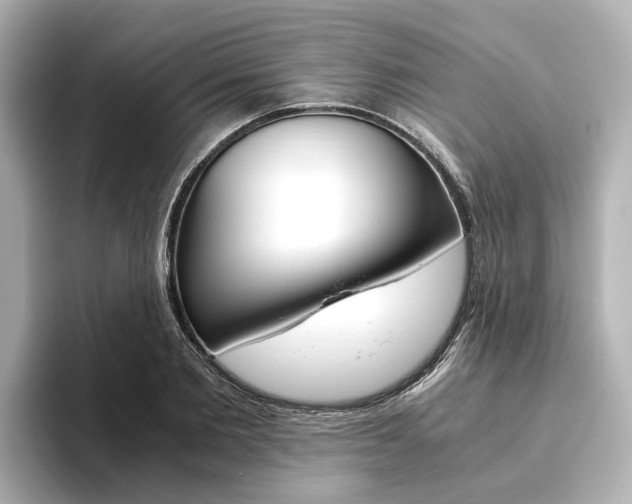 X0000093610885200710151014
