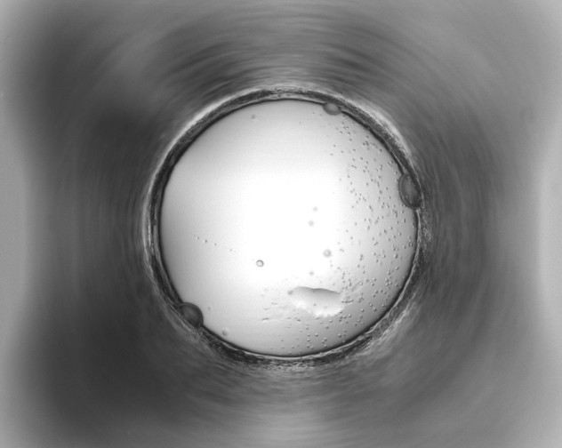 X0000093610887200710151014