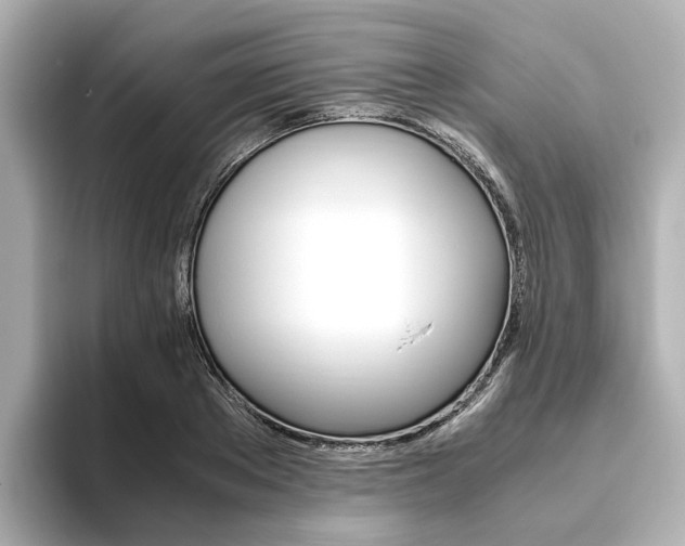 X0000093610889200710151014